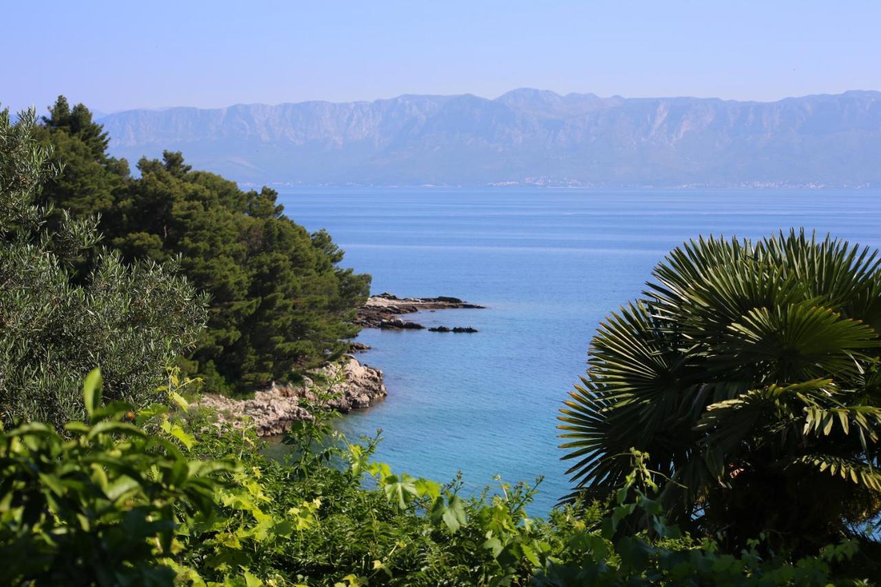 Apartments And Rooms By The Sea Trpanj, Peljesac - 258 Екстериор снимка