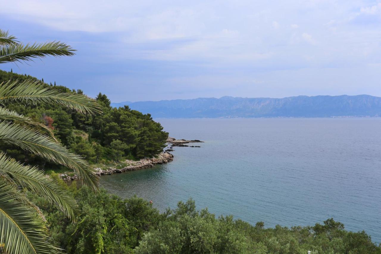 Apartments And Rooms By The Sea Trpanj, Peljesac - 258 Екстериор снимка